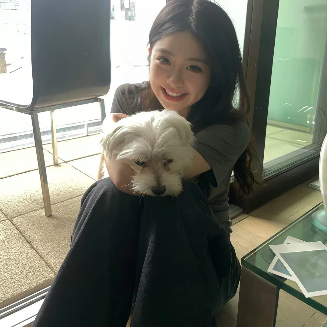 少帅